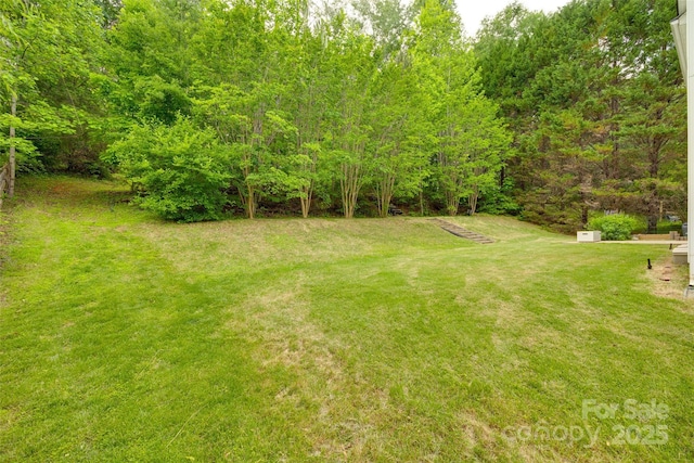 view of green lawn