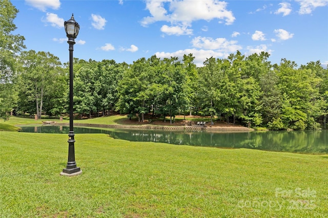 9831 Sedgefield Dr, Waxhaw, NC 28173 - view of home's community with a water view and a yard