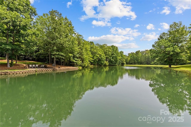 9831 Sedgefield Dr, Waxhaw, NC 28173 - water view with a forest