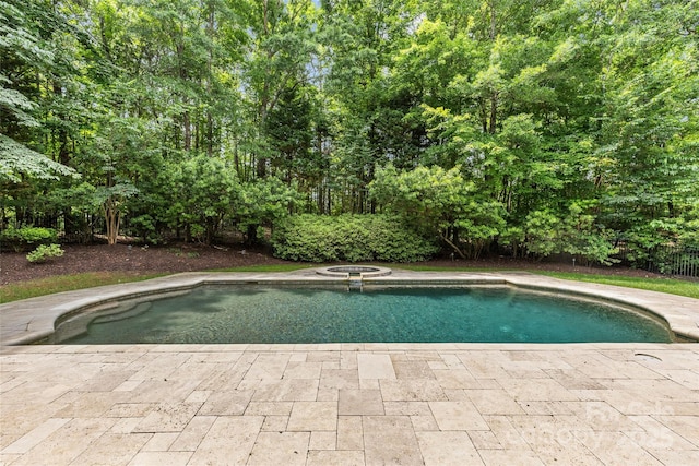 9831 Sedgefield Dr, Waxhaw, NC 28173 - view of pool featuring a pool with connected hot tub and a patio area