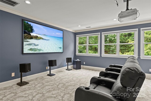 9831 Sedgefield Dr, Waxhaw, NC 28173 - home theater room featuring crown molding, baseboards, recessed lighting, healthy amount of natural light, and stone finish flooring