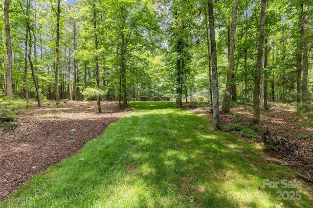 9831 Sedgefield Dr, Waxhaw, NC 28173 - view of green lawn with a view of trees