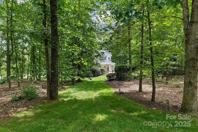 9831 Sedgefield Dr, Waxhaw, NC 28173 - view of green lawn