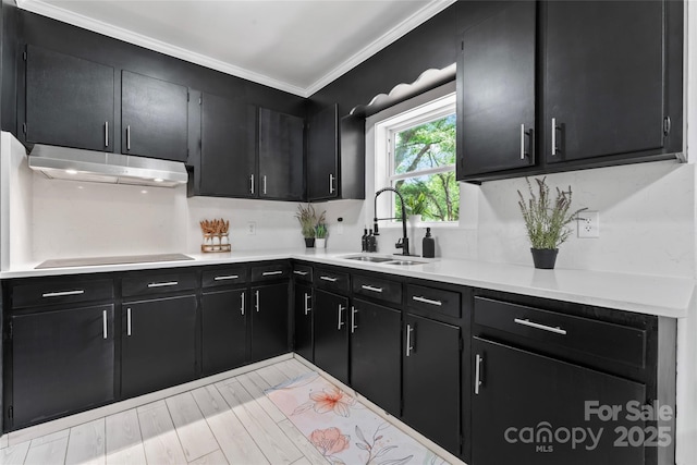 2401 Woodleaf Dr, Gastonia, NC 28052 - kitchen featuring a sink, dark cabinetry, under cabinet range hood, light countertops, and ornamental molding