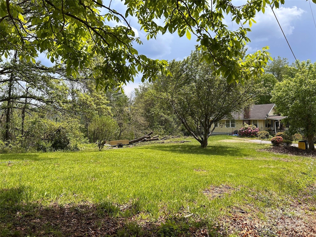 14 Crestfield Ave, Asheville, NC 28804 - photo 1