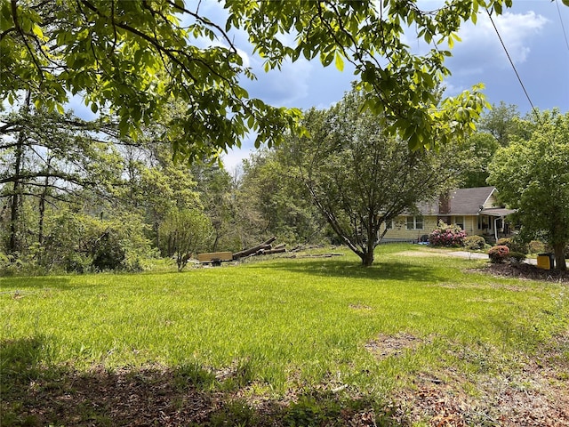 14 Crestfield Ave, Asheville, NC 28804 - photo 1