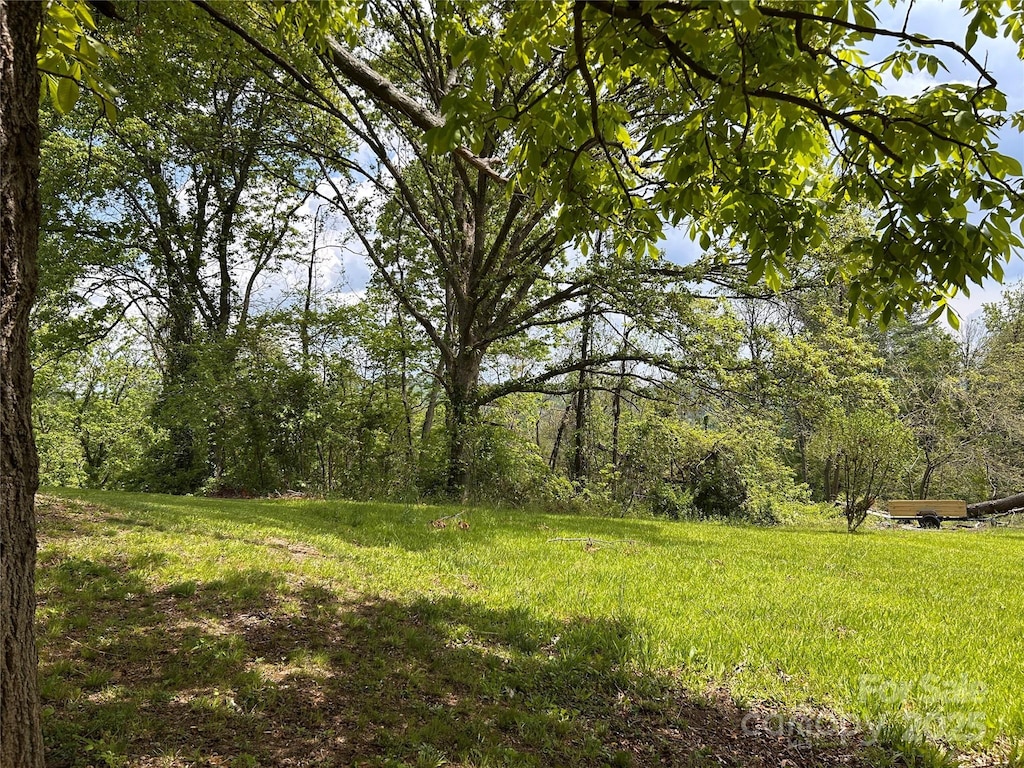 14 Crestfield Ave, Asheville, NC 28804 - photo 2
