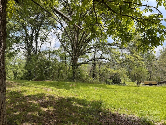 14 Crestfield Ave, Asheville, NC 28804 - photo 2