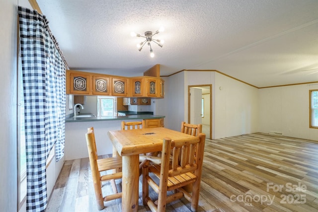 3823 Silver Creek Ter, Morganton, NC 28655 - dining area featuring light wood finished floors, lofted ceiling, a textured ceiling, healthy amount of natural light, and crown molding