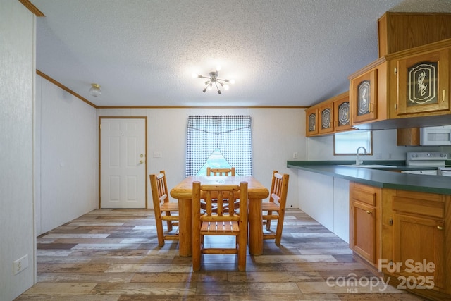 3823 Silver Creek Ter, Morganton, NC 28655 - dining room with light wood-style flooring, ornamental molding, a textured ceiling, and plenty of natural light