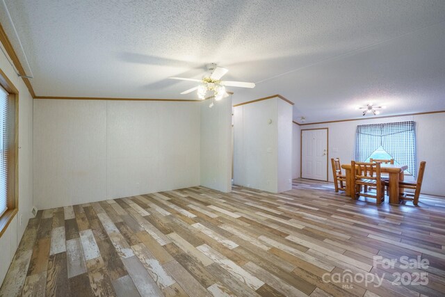 3823 Silver Creek Ter, Morganton, NC 28655 - unfurnished living room with light wood-style floors, a textured ceiling, a ceiling fan, and crown molding