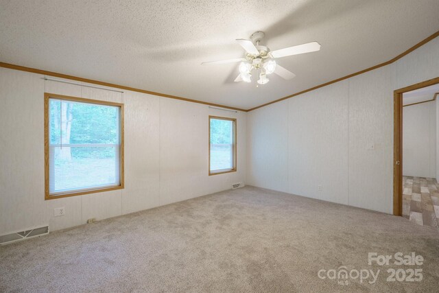 3823 Silver Creek Ter, Morganton, NC 28655 - carpeted empty room featuring crown molding, a ceiling fan, lofted ceiling, and a textured ceiling
