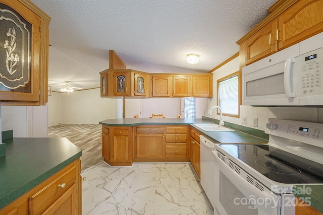 3823 Silver Creek Ter, Morganton, NC 28655 - kitchen with white appliances, a sink, a peninsula, dark countertops, and light marble finish floors