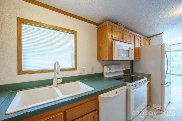 3823 Silver Creek Ter, Morganton, NC 28655 - kitchen featuring white appliances, a sink, crown molding, dark countertops, and a textured ceiling