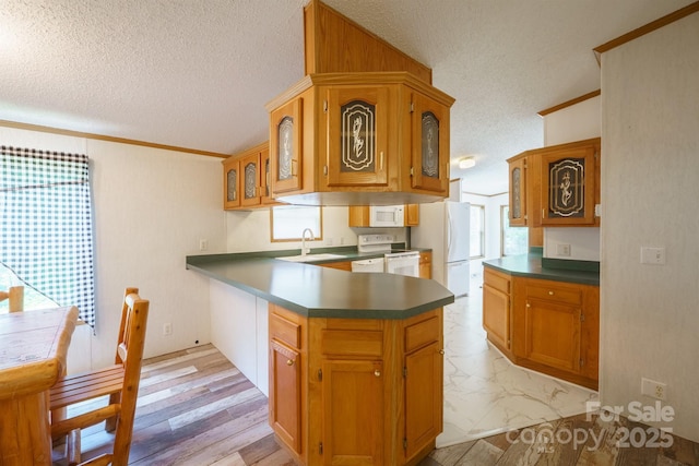 3823 Silver Creek Ter, Morganton, NC 28655 - kitchen with a textured ceiling, white appliances, dark countertops, a peninsula, and ornamental molding