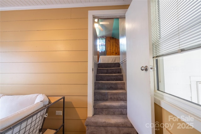 80 Pine St, Badin, NC 28009 - stairway with wood walls and plenty of natural light
