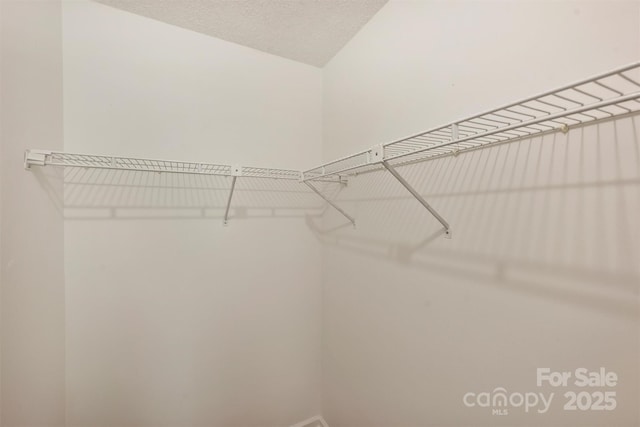 6016 Gray Gate Ln Unit C, Charlotte, NC 28210 - view of spacious closet