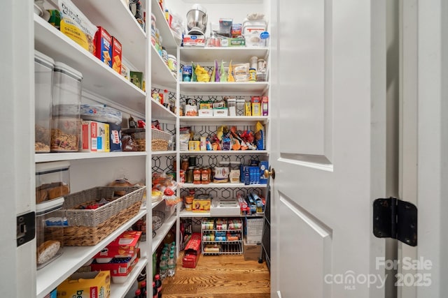 309 Palm Cove Way, York, SC 29745 - view of pantry