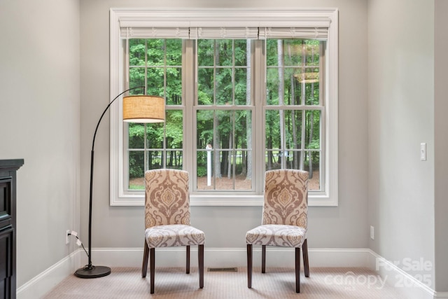 309 Palm Cove Way, York, SC 29745 - sitting room featuring baseboards