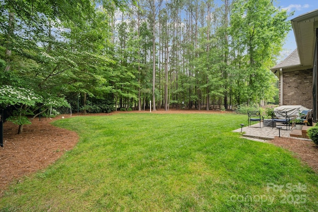309 Palm Cove Way, York, SC 29745 - view of green lawn with a patio area
