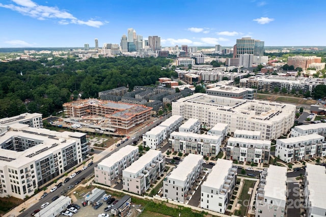 4011 Tundra Rd, Charlotte, NC 28203 - view of urban area