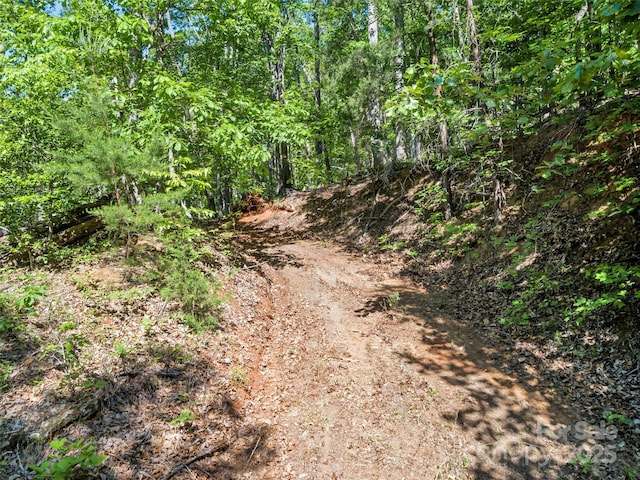 0 Maple Spring Dr, Union Mills, NC 28167