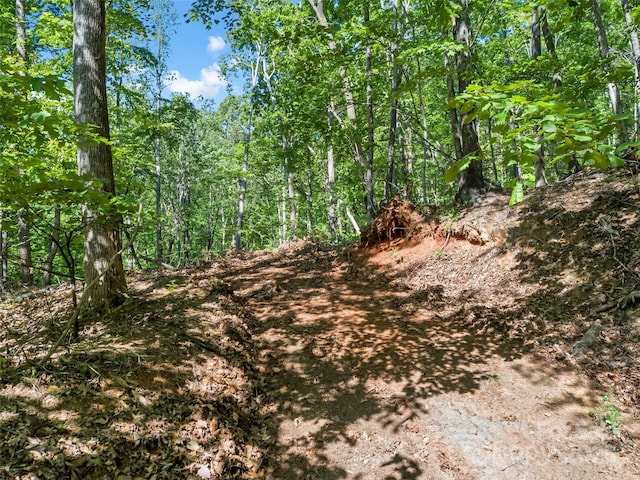 0 Maple Spring Dr, Union Mills, NC 28167