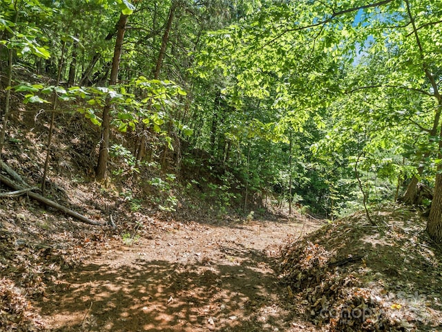 0 Maple Spring Dr, Union Mills, NC 28167