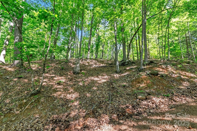 0 Maple Spring Dr, Union Mills, NC 28167