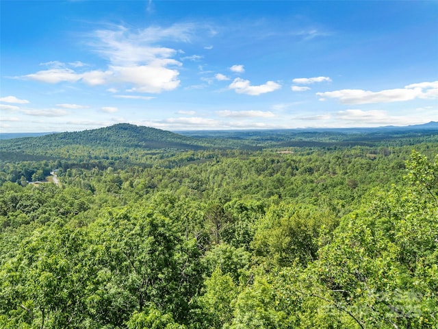 0 Maple Spring Dr, Union Mills, NC 28167