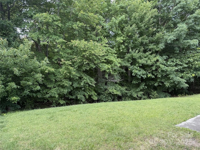 1623 Flagler Ln, Charlotte, NC 28216 - photo 13
