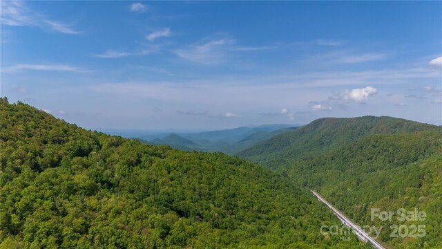 view of mountain backdrop featuring a heavily wooded area