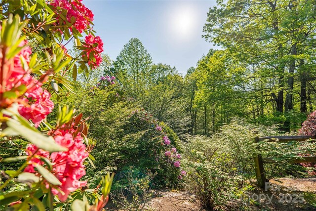 view of nature