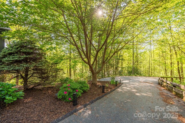 view of community with a wooded view