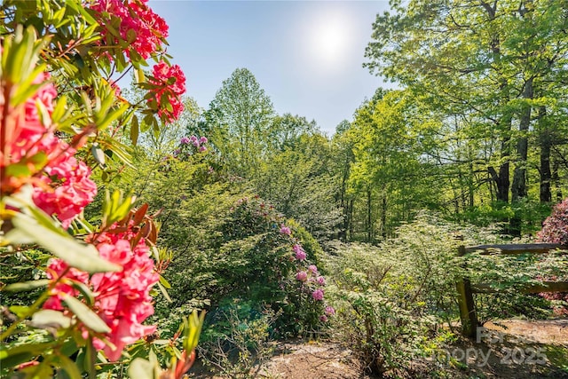 view of nature