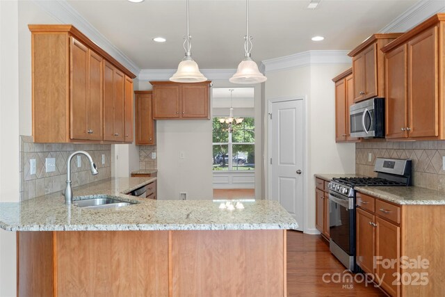 9230 Loch Glen Way, Charlotte, NC 28278 - kitchen with stainless steel appliances, a sink, a peninsula, light stone counters, and dark wood-style floors