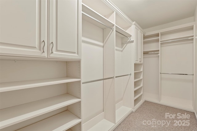 9230 Loch Glen Way, Charlotte, NC 28278 - spacious closet with light carpet