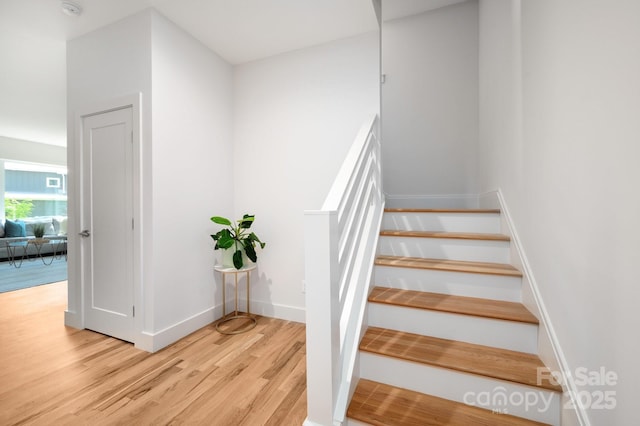 9 Orrinel Way, Asheville, NC 28806 - photo 26