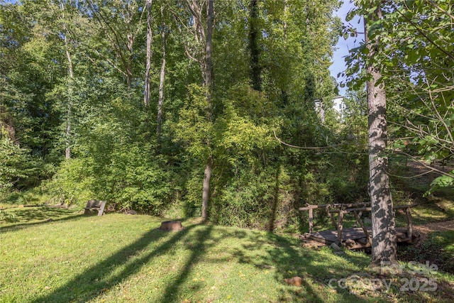 9 Orrinel Way, Asheville, NC 28806 - photo 40