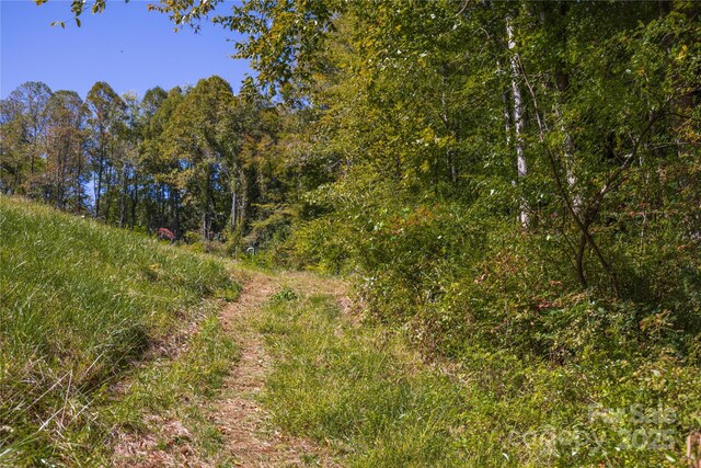 9 Orrinel Way, Asheville, NC 28806 - photo 41