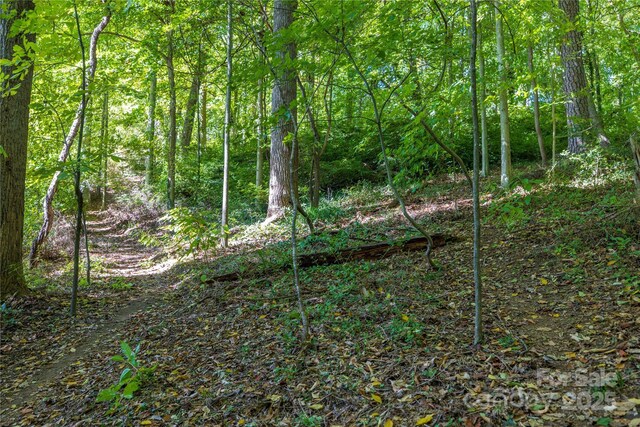 9 Orrinel Way, Asheville, NC 28806 - photo 44