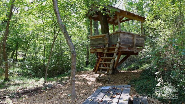 9 Orrinel Way, Asheville, NC 28806 - photo 45