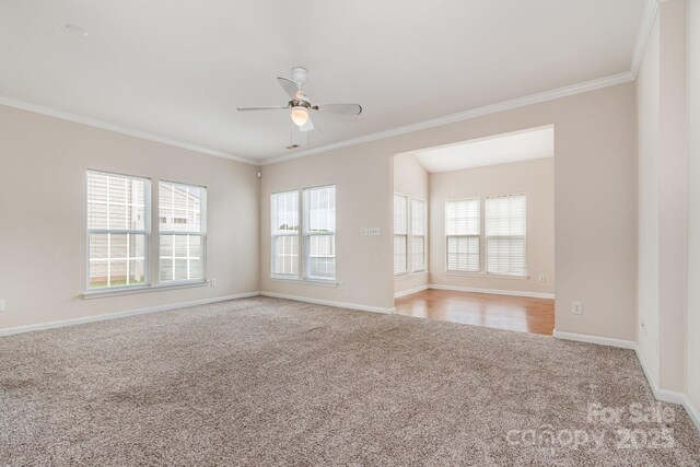 4213 Coulter Xing, Charlotte, NC 28213 - photo 7