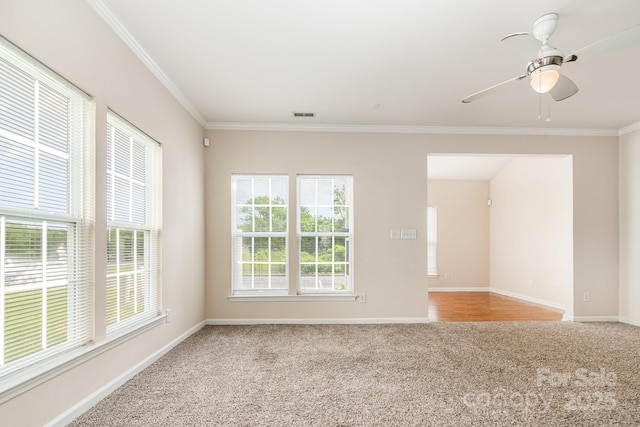 4213 Coulter Xing, Charlotte, NC 28213 - photo 21