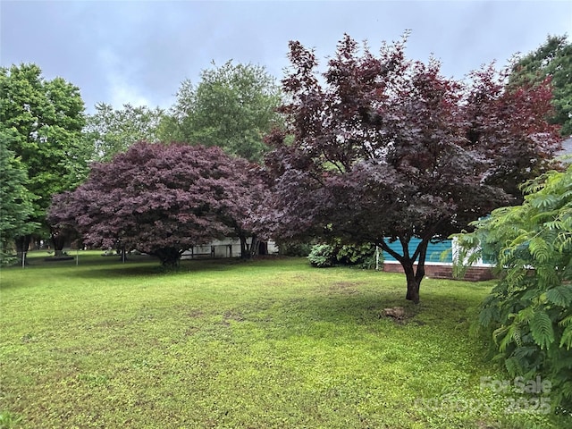 2009 Hickory Grove Rd, Gastonia, NC 28056 - view of green lawn