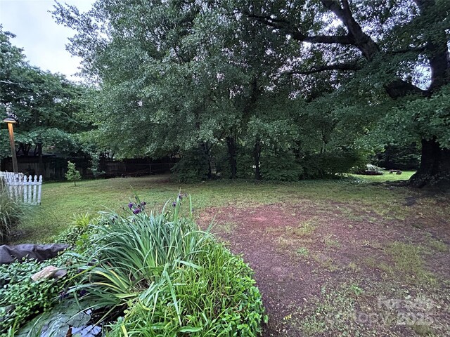 2009 Hickory Grove Rd, Gastonia, NC 28056 - view of yard