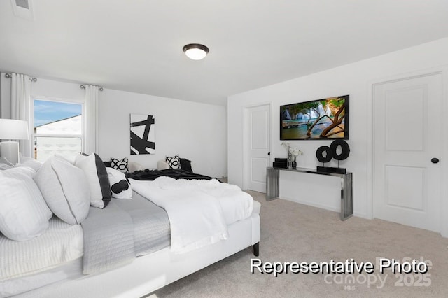 bedroom featuring carpet floors
