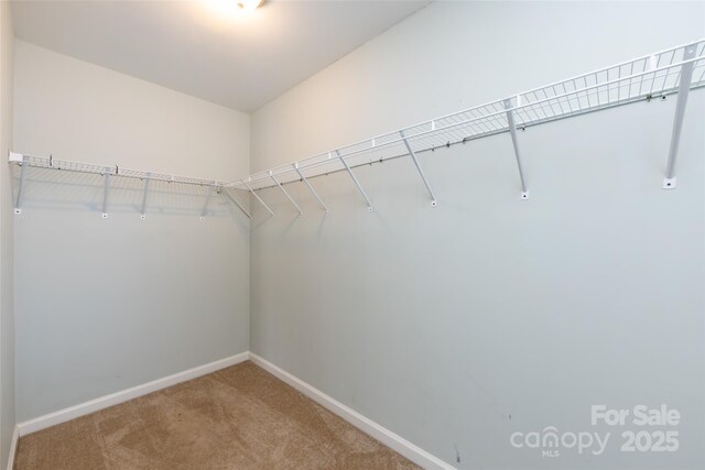 15623 Sir Charles Pl, Charlotte, NC 28277 - photo 37