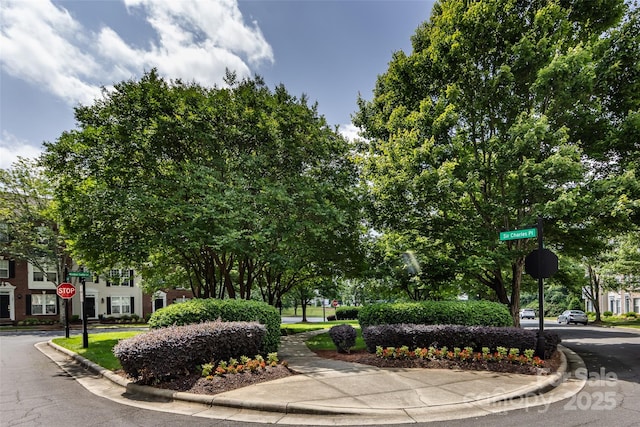15623 Sir Charles Pl, Charlotte, NC 28277 - photo 48