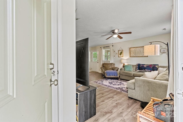 living area with ceiling fan, light wood finished floors, and a textured ceiling